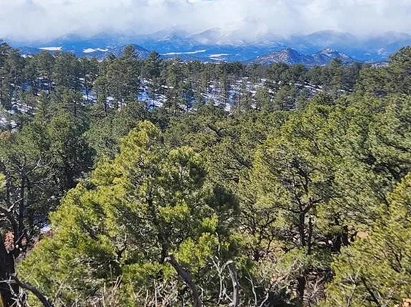 1113 43rd Trl, Cotopaxi, CO 81223