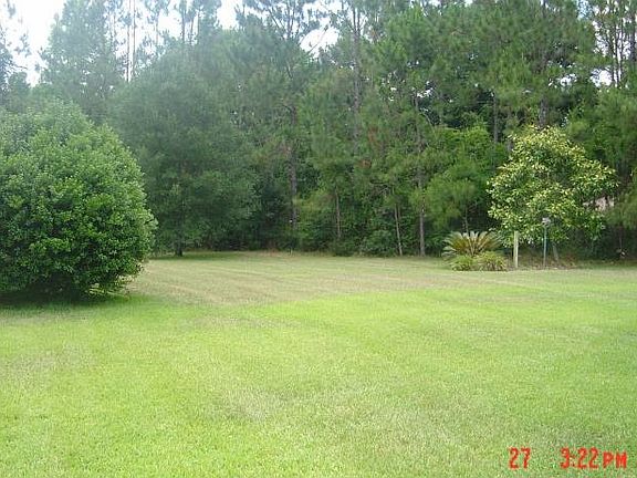 Back Yard View/Trees