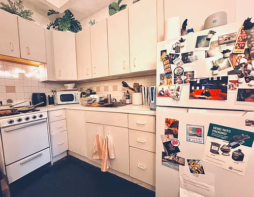 Amazon.co.jp: World's System Kitchen: ミュージック