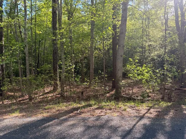 LOT 81 Neptune Dr, Greenbackville, VA 23356