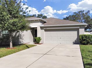 10204 Strawberry Tetra Dr, Riverview, FL 33578