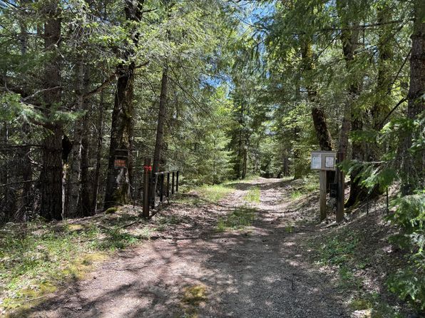 12575 Buck Mountain Rd, Bridgeville, CA 95526