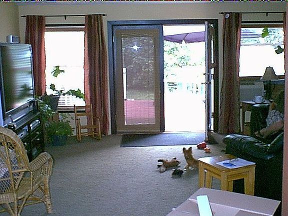 Living/to outdoor deck