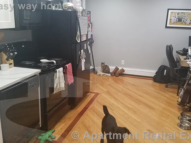 Apartment Rental Experts
