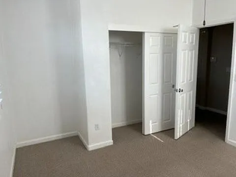 3856 Purple Finch Ln — Photo 6