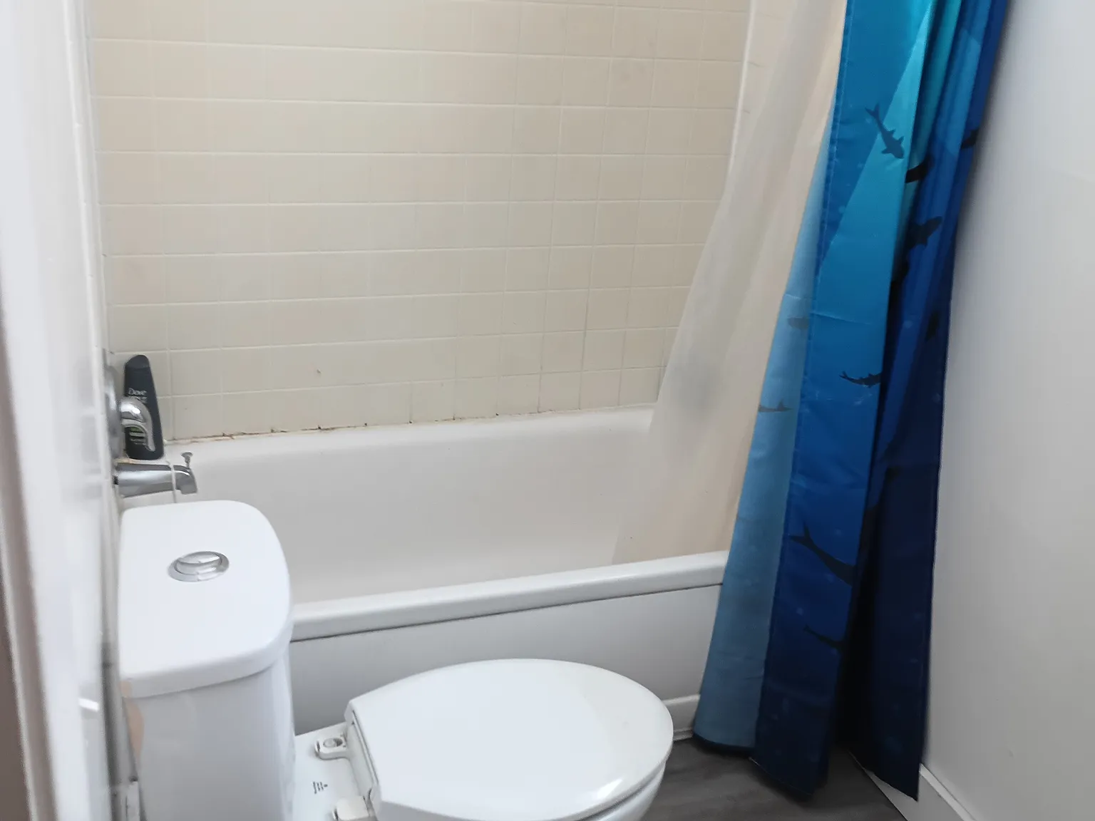 1 bed, 500 sqft, $1,500 — Photo 3