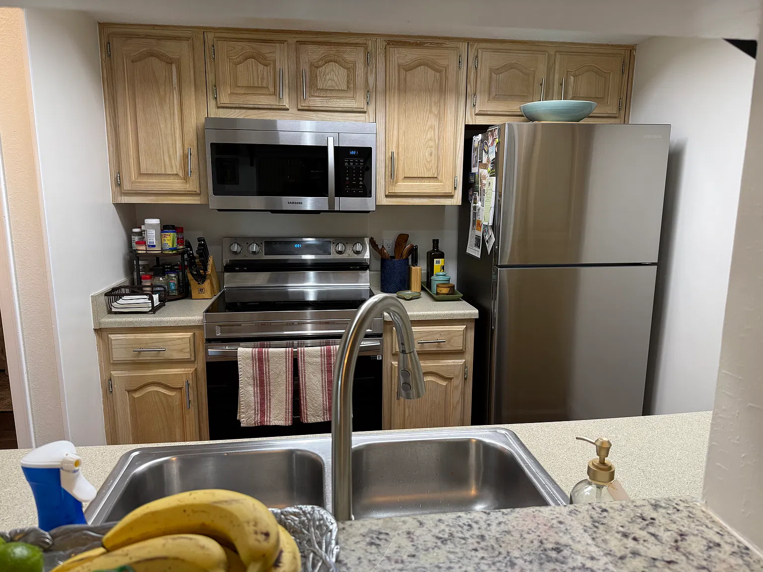 1 bed, 800 sqft, $1,150 — Photo 3