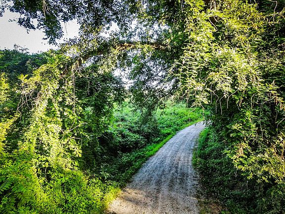 4th image of 0 Gene Fleming Rd