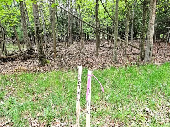 Bonita Way Lot 4, Onekama, MI 49675