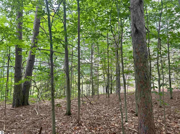 332 Thomas Rd SW, South Boardman, MI 49680