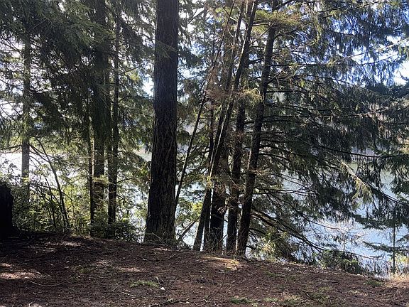 5th image of 72294 Potlatch Rd