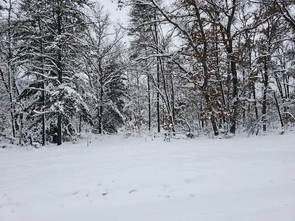 4757 S Spruce Rd, Idlewild, MI 49642