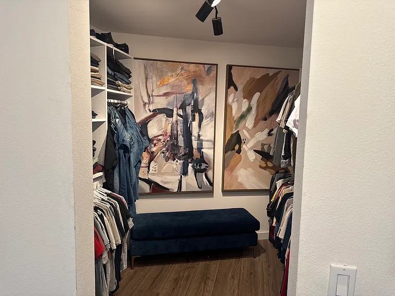 Primary Bedroom Walk-in Closet
