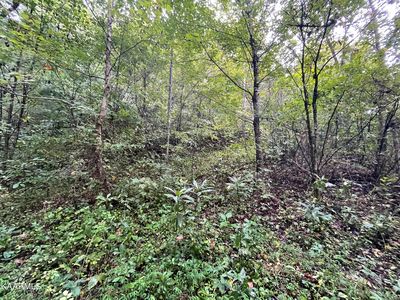0 Slate Creek Ln, Tazewell, TN, 37879