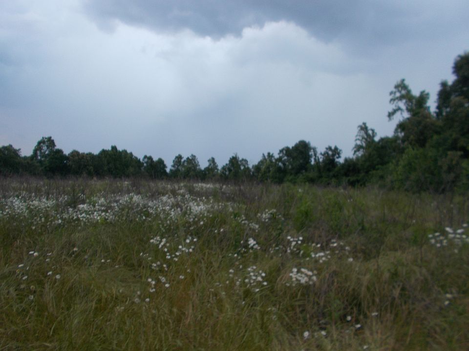 2nd image of Deep Ford Rd