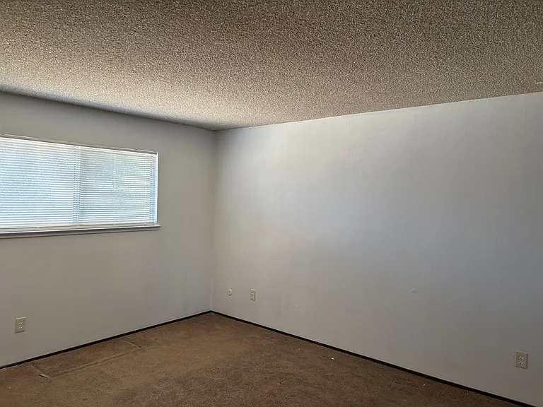 4999 Curve Wood Way — Photo 15