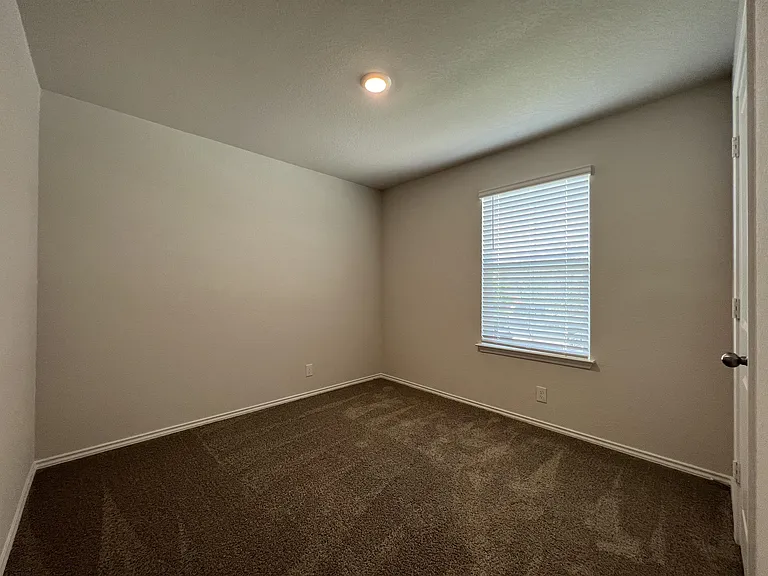 15315 Shortwing — Photo 6