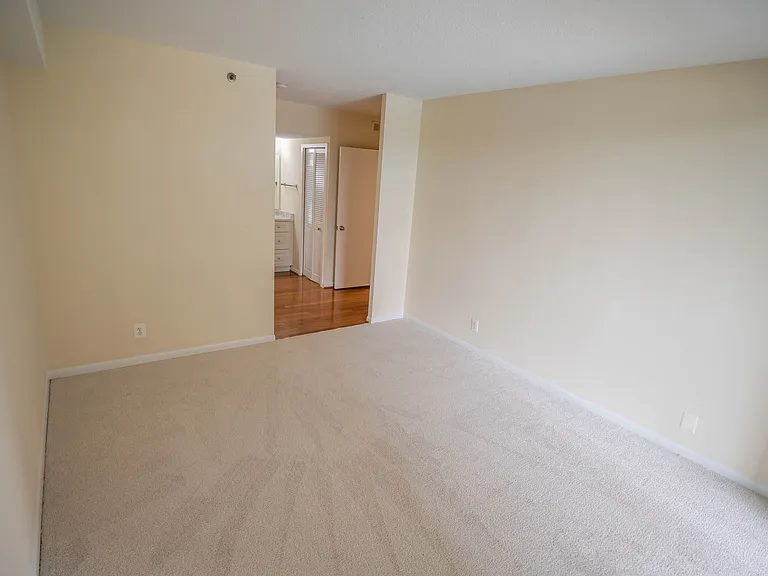 5505 Seminary Rd #316N — Photo 35