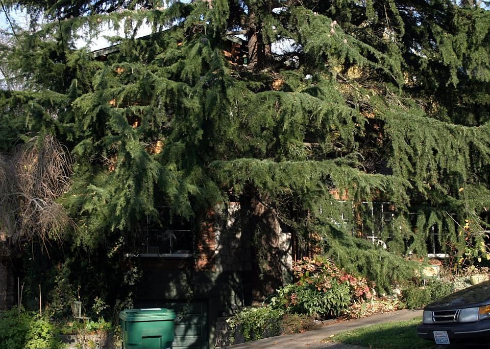 2nd image of 222 NW 40th St