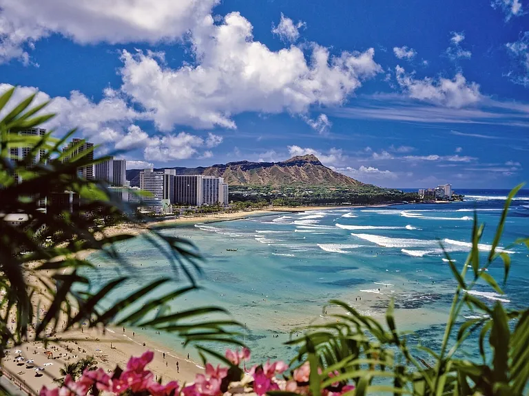 Kalakaua Ave — Photo 22