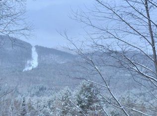 76 Freebern Rd #76, North Creek, NY 12853