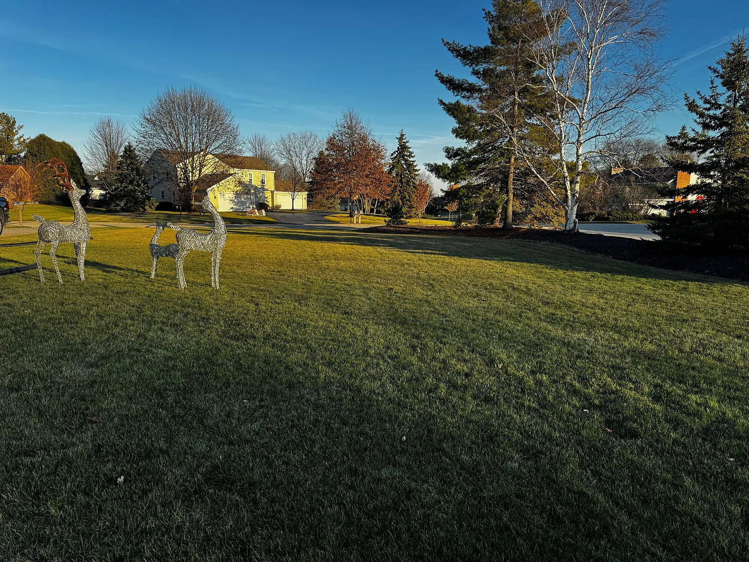 3 bed, 1.5 bath, 1650 sqft, $2,550 — Photo 2