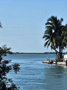 17171 Seagrape Ln, Sugarloaf Key, FL, 33042