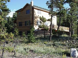 74 Navajo Trl, Nederland, CO 80466