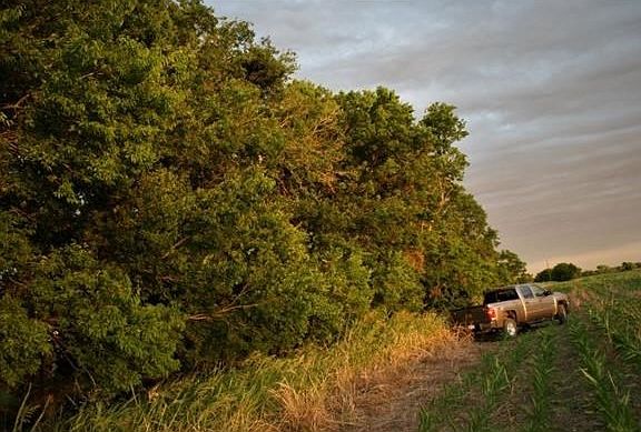 3rd image of County Road 412