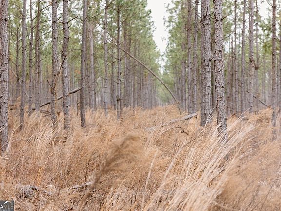 2nd image of 0 Bunn Store Rd Tract 2