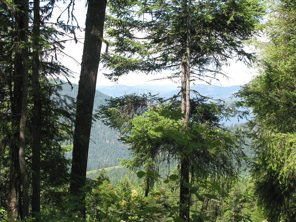 2nd image of 2423 Quinns Meadow Rd Lot K