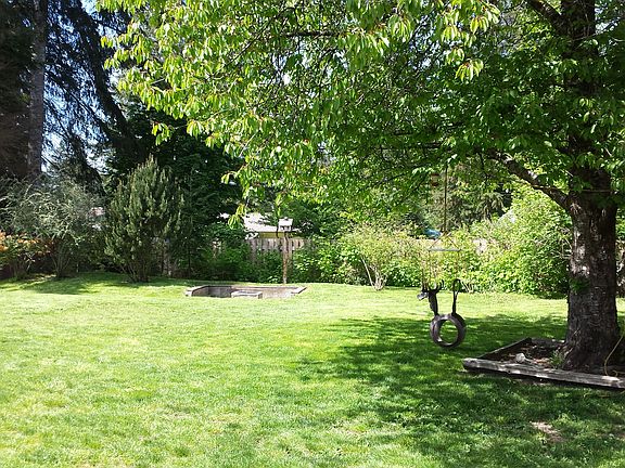 Beautiful Spacious back yard