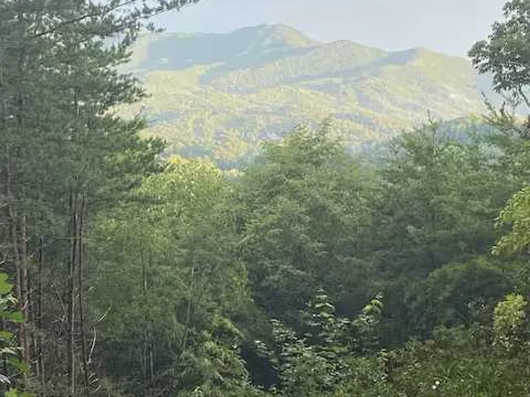 Window View