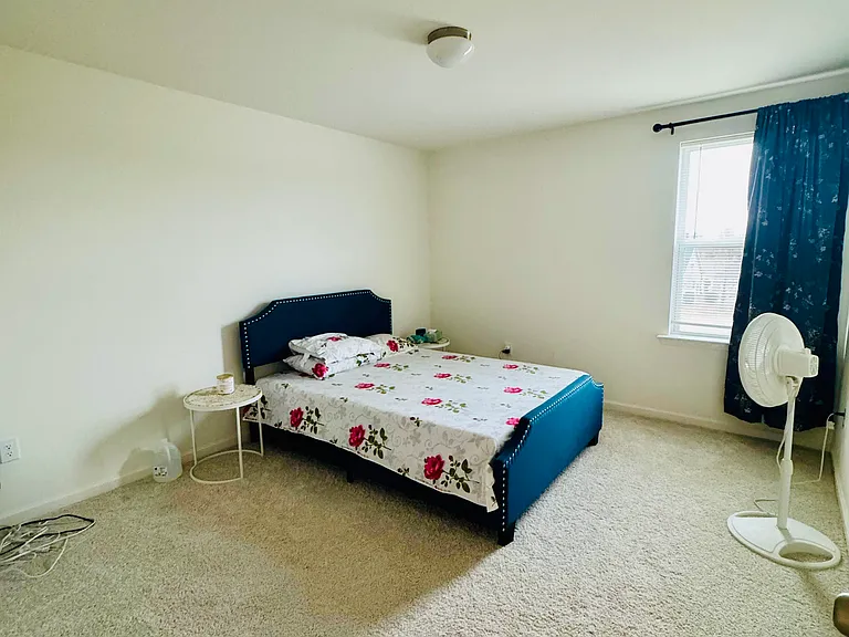 54 Horseshoe Pl — Photo 24