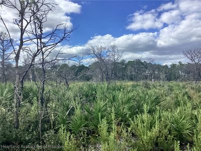 3521 Santona Ave, Lake Placid, FL, 33852