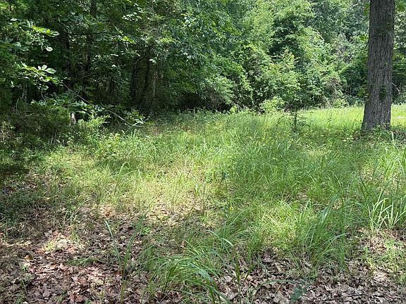 5th image of 818 W Whatley Rd