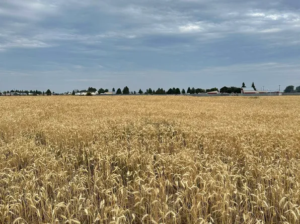 1113X S Rambo Rd, Medical Lake, WA 99022