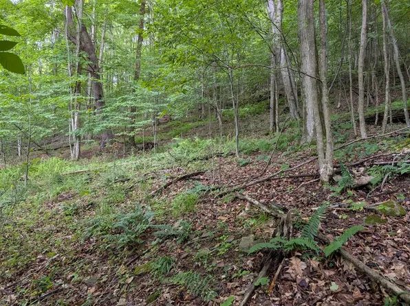 0 Rose Lake Rd, Coudersport, PA 16915