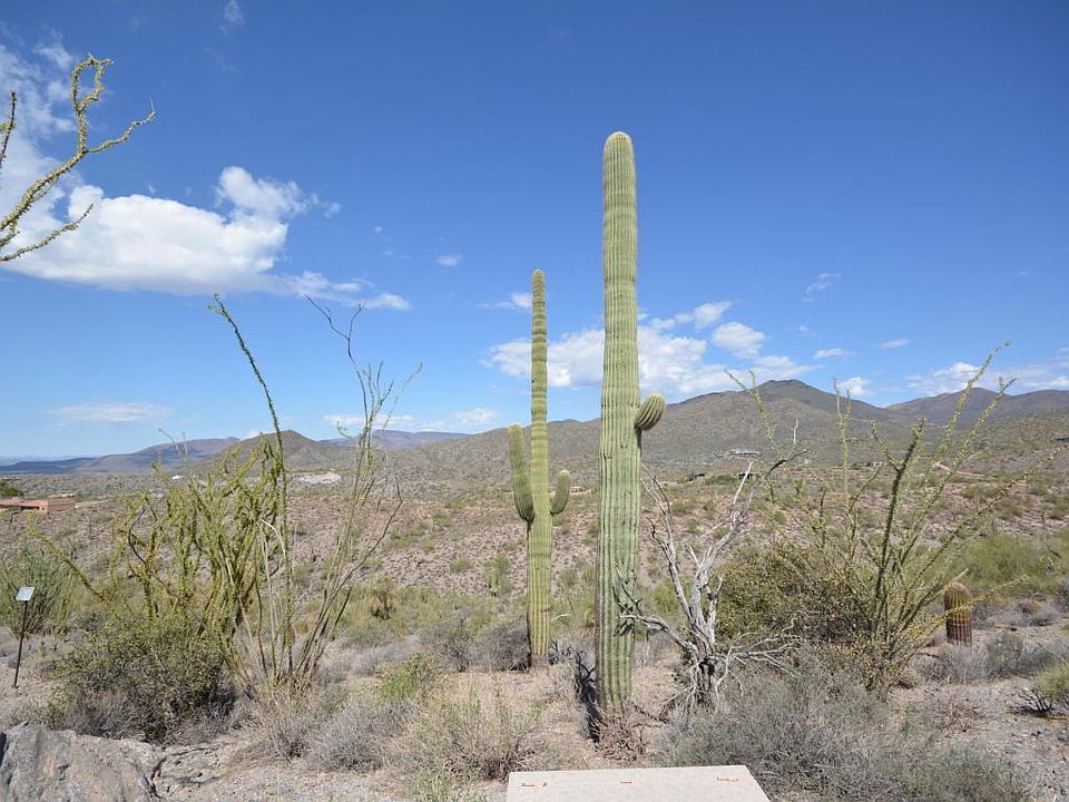 Lot 49 North
