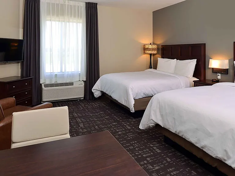 Studio Suite - 2 Queen Beds