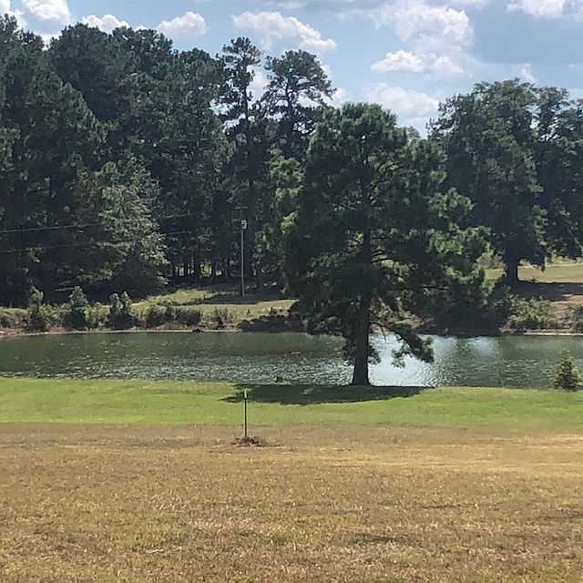 Tranquil pond view enjoyed from multiple rooms including the Master Bedroom, Kitchen, Dining and Great Room.