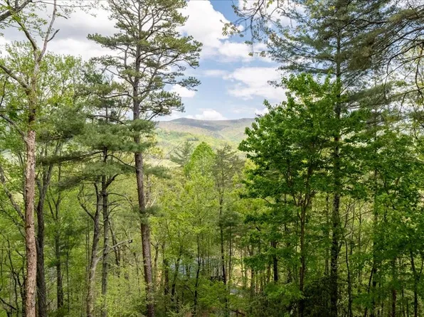 90 Mountain View Trl, Blue Ridge, GA 30513
