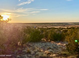 1295 County Road 5270, Concho, AZ 85924