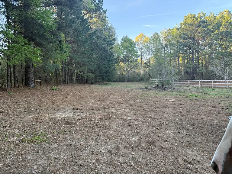 2850 County Road 233D — Photo 32