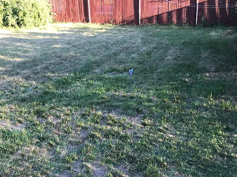 62 Western Dr — Photo 34