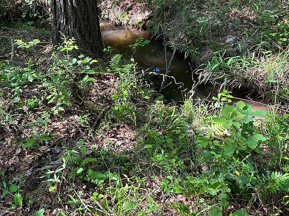 3rd image of 0 Benenhaley Rd