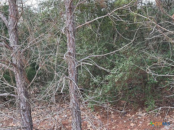 3rd image of Pine Hill Loop