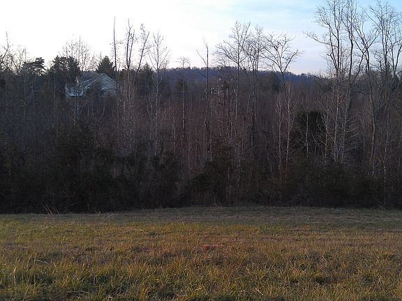 Partially wooded lot with mature trees