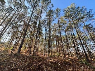 Nasturtium Rd, Ore City, TX, 75683
