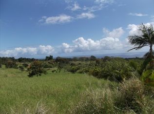 29-2334 Kaiwiki Hmstd Rd LOT 6-C, Hakalau, HI 96710